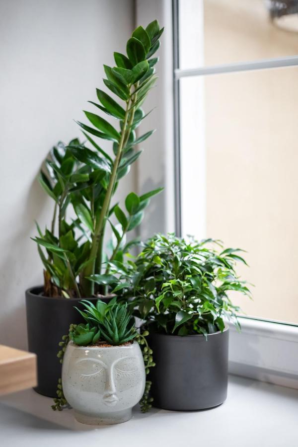 #Stayhere - Cozy 1Bdr Apartment Vilnius Old Town Екстериор снимка